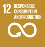 respensible consumption